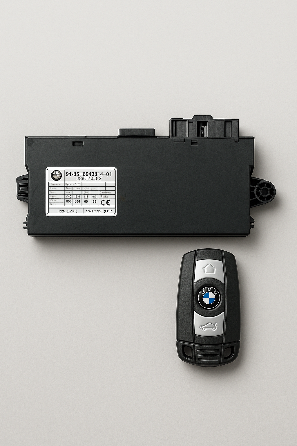 BMW CAS Module